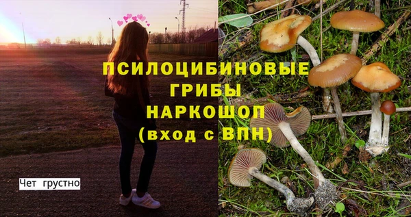 круглые Володарск